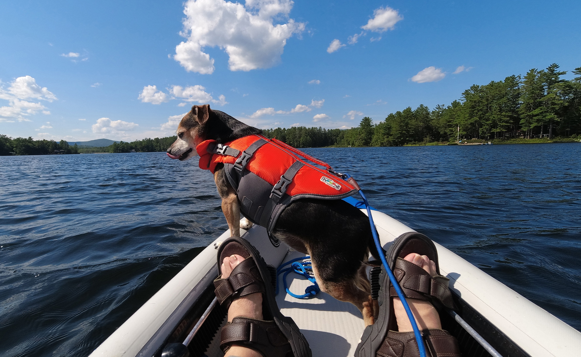 Small New Hampshire Lake Environmental Assessment